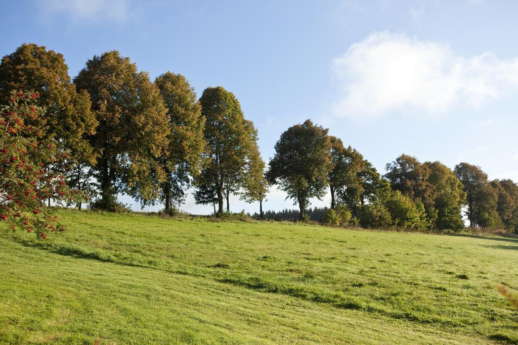 Hapimag Ferienwohnungen Winterberg Luaran gambar